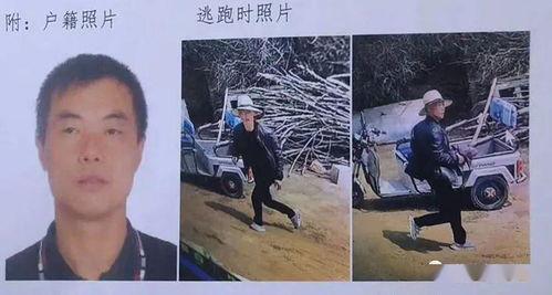 焦家金矿爆料事件视频,揭露矿场内幕